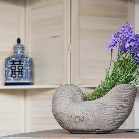 Bungalow Oasis * 테기세